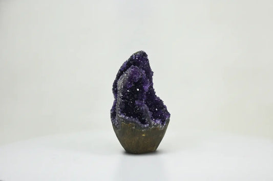 Bramble · Amethyst with Extra Formations | Amethystore