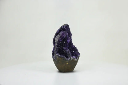 Bramble · Amethyst with Extra Formations | Amethystore