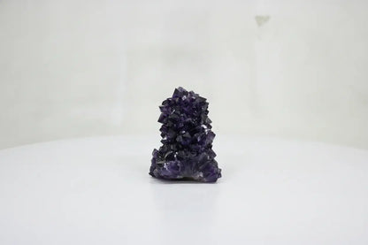 Hydra · Raw Amethyst with Formations and Stalactite | Amethystore